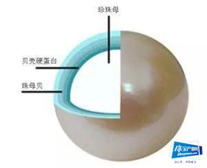 六月生辰石之珍珠,挑选有技巧 六月生辰石之珍珠,挑选有技巧