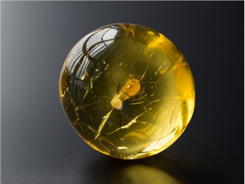 九个特征助你鉴别“太阳花”再造琥珀