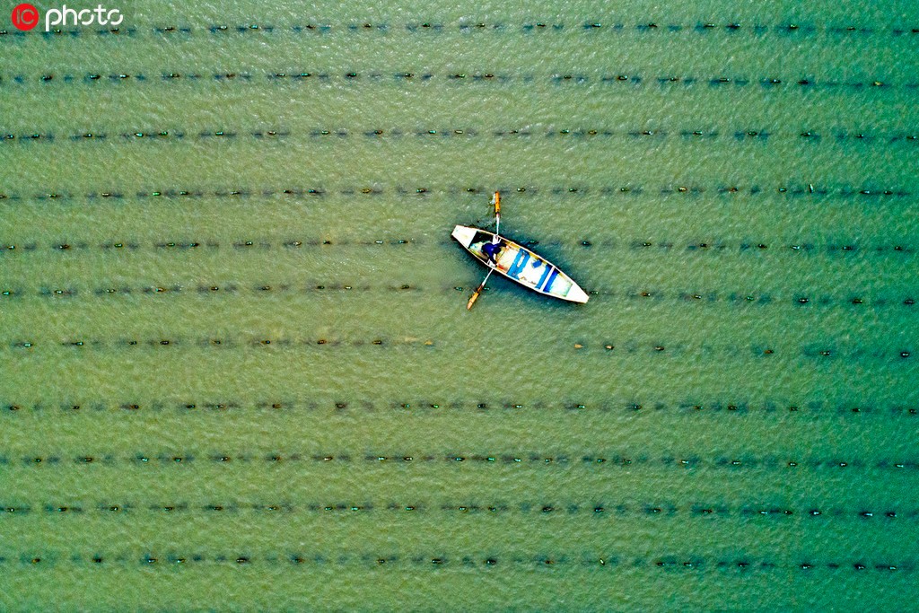航拍300余亩珍珠贝孵化基地 景色秀丽风光如画
