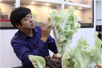 留得清气满乾坤  访中国玉石雕艺术大师“玉雕白菜王”李红伟